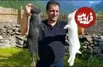 ببینید| غذای خیابانی در آذربایجان؛ پخت خورشت با خرگوش در طبیعت
