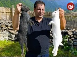 ببینید| غذای خیابانی در آذربایجان؛ پخت خورشت با خرگوش در طبیعت