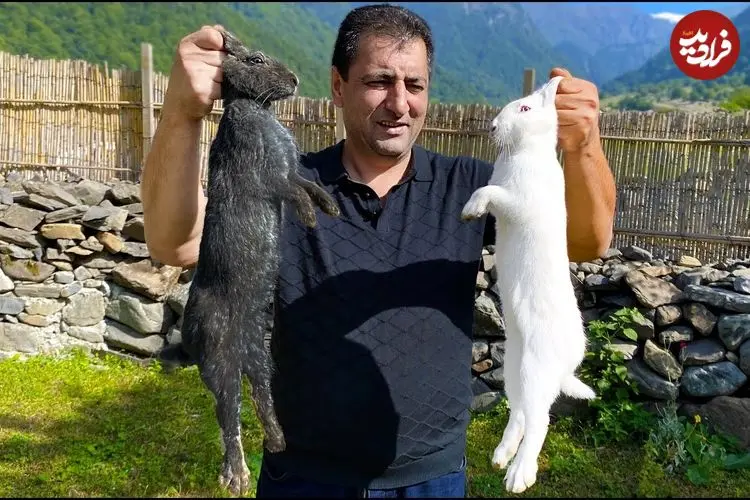 ببینید| غذای خیابانی در آذربایجان؛ پخت خورشت با خرگوش در طبیعت