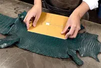 (ویدئو) مراحل ساخت کیف پول با چرم طبیعی کروکودیل در شرق آسیا