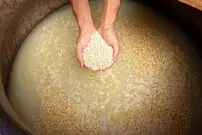 (ویدئو) مراحل تماشایی تهیه سرکه سنتی ژاپنی 