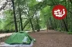 تصاویر| سفر یک روزه به آمازون ایران؛ تنگه دار نوشهر کجاست؟