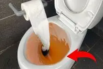 (ویدئو) نحوه تعویض لوله پلیکا و میز کردن توالت فرنگی به روش استاد چینی