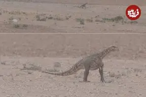 مشاهده دایناسور در مناطق بیابانی خراسان رضوی تکذیب شد