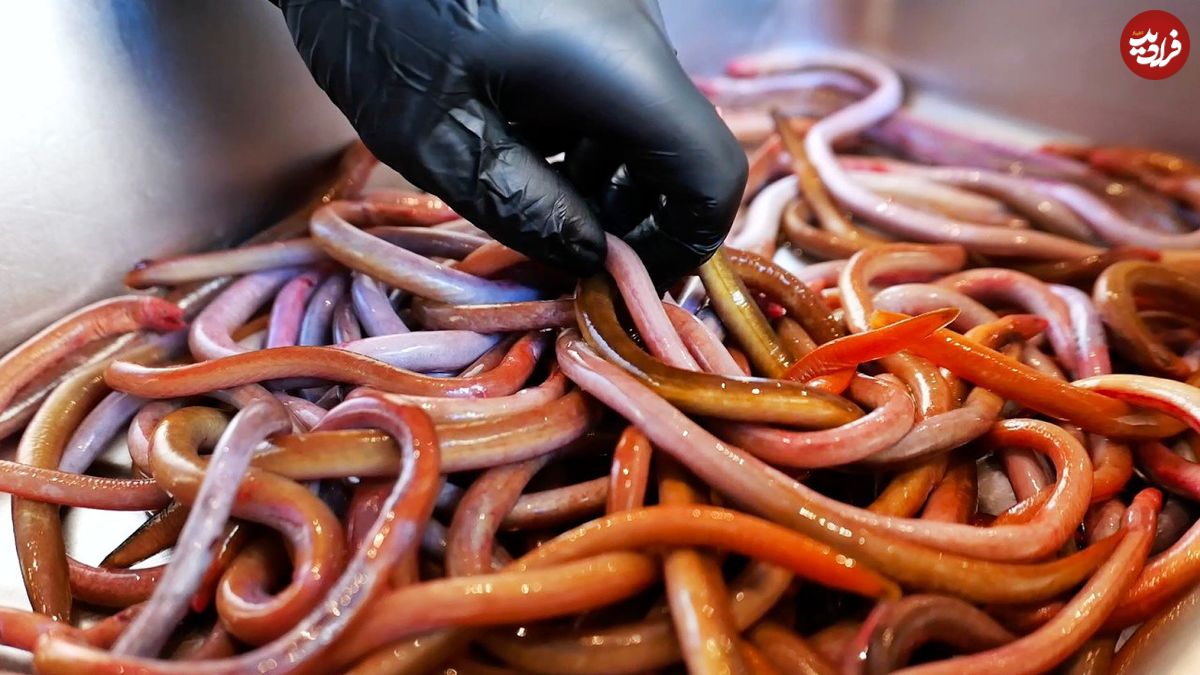 ببینید؛ غذای خیابانی در ویتنام؛ پخت غذاهای خاص با کرم گِل قرمز در هانوی