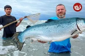 ببینید| غذای روستایی در آذربایجان؛ کباب ماهی سالمون در فر