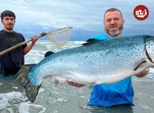 ببینید| غذای روستایی در آذربایجان؛ کباب ماهی سالمون در فر