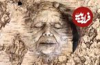 تصاویر؛ خلاقیت هنرمند کانادایی که «چهره‌ها» را از دل چوب‌های پیچ‌خورده بیرون می‌کشد