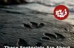 کشف شگفت‌انگیز یک راز ۱۸۲ میلیون ساله؛ دایناسورها هرگز ناپدید نشده بودند؟