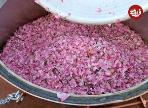 ببینید؛ آغاز جشنواره ملی گلابگیری و سوغات اقوام در کرج