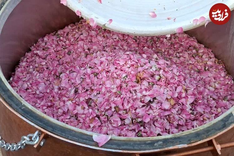 ببینید؛ آغاز جشنواره ملی گلابگیری و سوغات اقوام در کرج