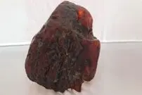 (عکس) سنگی که ۳۰ سال به عنوان نگه‌دارنده در خانه استفاده می‌شد، گنج ۱ میلیون دلاری از آب درآمد