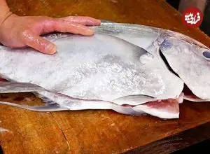 ببینید| غذای خیابانی در ژاپن؛ برش ماهرانه ماهی ماکرل و تهیه 2 نوع غذا با آن در اوکیناوا