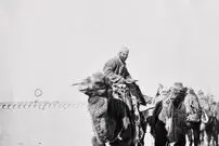 عکس| سفر زمان؛ کاروان شترها در اصفهان در دوران قاجار