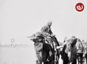 عکس| سفر زمان؛ کاروان شترها در اصفهان در دوران قاجار