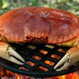 ببینید| غذای روستایی در سوئیس؛ صید خرچنگ از رودخانه و کباب کردن آن در جنگل