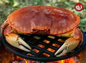 ببینید| غذای روستایی در سوئیس؛ صید خرچنگ از رودخانه و کباب کردن آن در جنگل