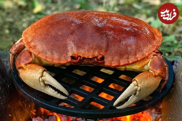 ببینید| غذای روستایی در سوئیس؛ صید خرچنگ از رودخانه و کباب کردن آن در جنگل