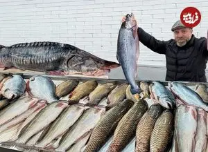 ببینید| غذای روستایی در آذربایجان؛ کباب کردن ماهی سالمون در نمک و در تنور