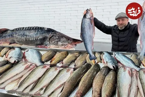 ببینید| غذای روستایی در آذربایجان؛ کباب کردن ماهی سالمون در نمک و در تنور