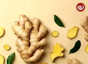 زنجبیل از افسانه تا واقعیت؛ فواید اثبات‌شده و حقیقت درباره‌ خاصیت درمانی آن
