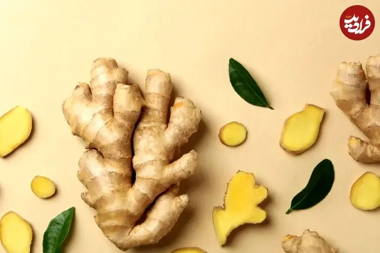 زنجبیل از افسانه تا واقعیت؛ فواید اثبات‌شده و حقیقت درباره‌ خاصیت درمانی آن