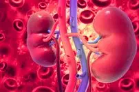 مرد هندی برای درمان عفونت ادراری به پزشک مراجعه کرد و فهمید سه کلیه‌ دارد