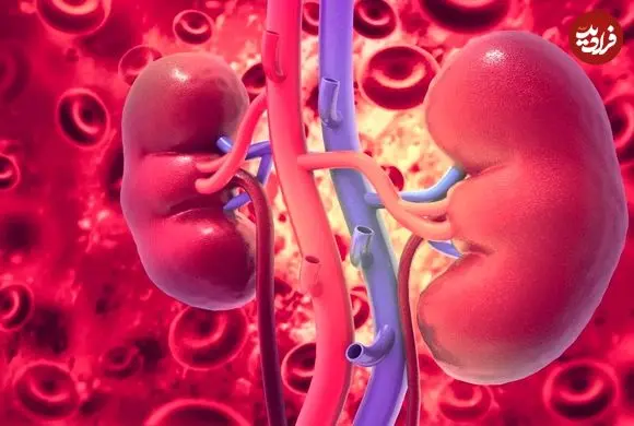 مرد هندی برای درمان عفونت ادراری به پزشک مراجعه کرد و فهمید سه کلیه‌ دارد