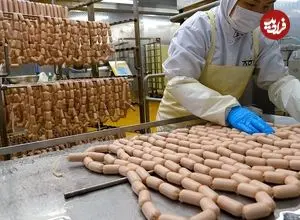 ببینید| سوسیس مرغ و گوشت چگونه در کارخانه تولید می شود؟