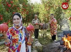 ببینید| غذای روستایی در ایران؛ برداشت انار تازه از باغ و پخت رب انار