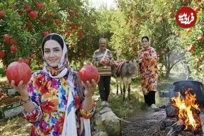 ببینید| غذای روستایی در ایران؛ برداشت انار تازه از باغ و پخت رب انار