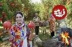 ببینید| غذای روستایی در ایران؛ برداشت انار تازه از باغ و پخت رب انار