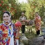 ببینید| غذای روستایی در ایران؛ برداشت انار تازه از باغ و پخت رب انار