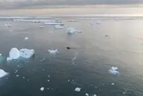 این کشف تصور ما از مهاجرت‌های باستانی را تغییر می‌دهد!