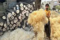 ببینید| مراحل تولید انبوه پوشال کولر آبی در کارگاهی در پاکستان