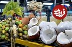 ببینید؛ فرآیند تماشایی برداشت و فرآوری نارگیل در تایلند
