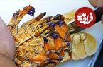 ببینید| غذای خیابانی در ژاپن؛ تهیه دو نوع غذا با خرچنگ دریایی در اوکیناوا