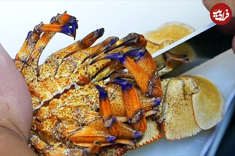 ببینید| غذای خیابانی در ژاپن؛ تهیه دو نوع غذا با خرچنگ دریایی در اوکیناوا