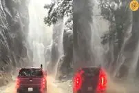 (ویدئو) عبور با خودرو از میان «بهشتِ عربستان»