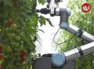 ربات باغبان چین شگفتی آفرید