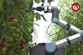 ربات باغبان چین شگفتی آفرید
