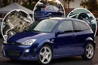 عکس| یکی از وحشی ترین اسب های فورد که ناشناخته ماند! 