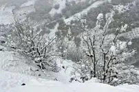 چشم تهرانی‌ها به برف روشن می‌شود؛ پیش بینی ۶۵ سانتی‌متر برف طی ۵ روز آینده
