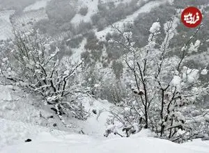چشم تهرانی‌ها به برف روشن می‌شود؛ پیش بینی ۶۵ سانتی‌متر برف طی ۵ روز آینده