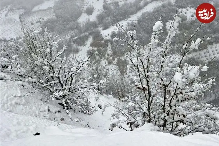 چشم تهرانی‌ها به برف روشن می‌شود؛ پیش بینی ۶۵ سانتی‌متر برف طی ۵ روز آینده