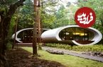 (تصاویر) «غار» مدرن و جذابی که معماران ژاپنی در جنگل ساخته‌اند