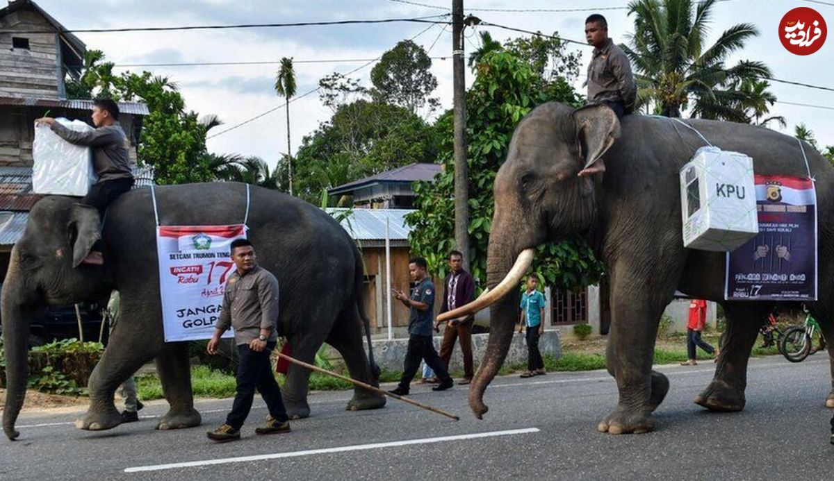 (ویدئو) انتقال صندوق رای به روستاهای دورافتاده با فیل!