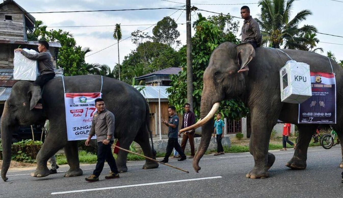 (ویدئو) انتقال صندوق رای به روستاهای دورافتاده با فیل!