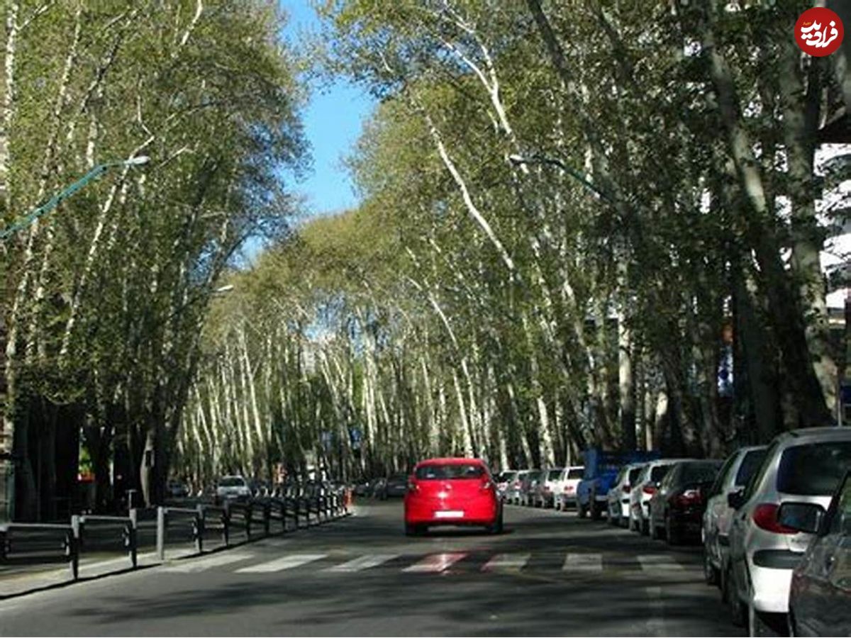 (عکس) سفر به تهران قدیم؛ اولین باری که خیابان ولیعصر (عج) یک طرفه شد 
