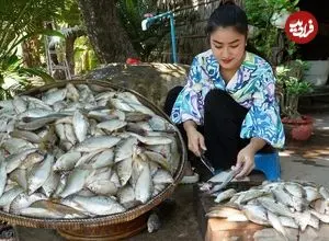 ببینید| غذای روستایی در کامبوج؛ پخت 4 مدل غذا با ماهی آب شیرین